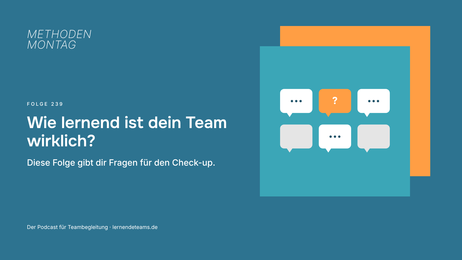 Wie lernend ist dein Team wirklich? Diese Folge gibt dir Fragen für den Check-up.
