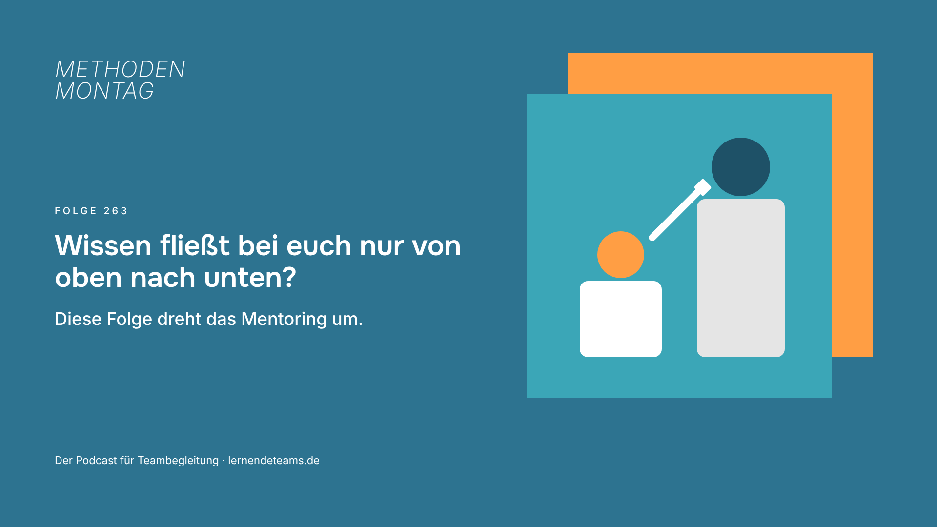 Wissen fließt bei euch nur von oben nach unten? Diese Folge dreht das Mentoring um.
