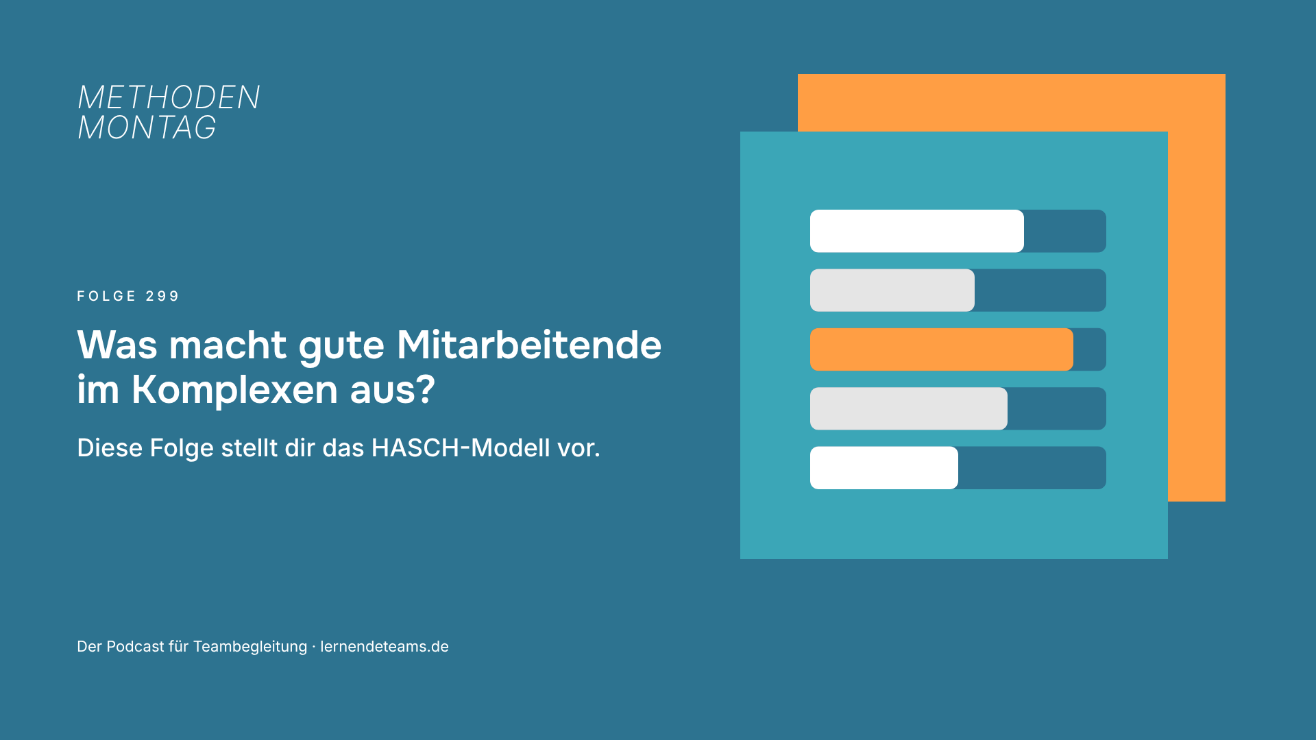 Was macht gute Mitarbeitende im Komplexen aus? Diese Folge stellt dir das HASCH-Modell vor.