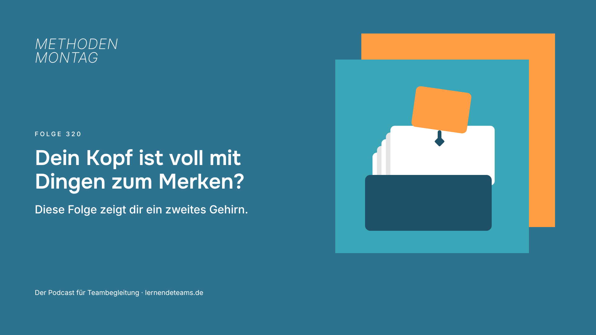 Dein Kopf ist voll mit Dingen zum Merken? Diese Folge zeigt dir ein zweites Gehirn.